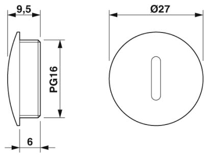 Резьбовой колпачок-A-INSP-PG16-65N-P-LG