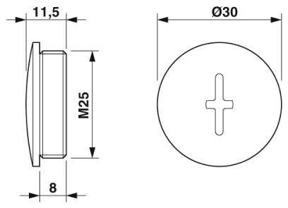 Резьбовой колпачок-A-INSP-M25-65N-P-BK