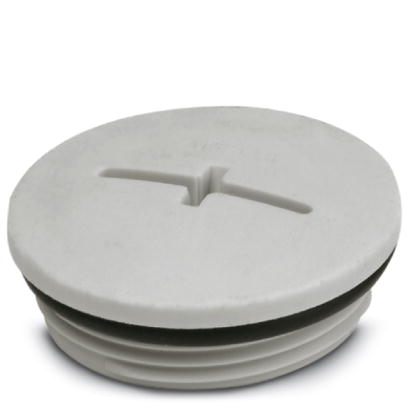 Резьбовой колпачок-A-INSP-M40-68N-P-LG