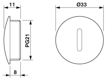 Резьбовой колпачок-A-INSP-PG21-65N-P-BK
