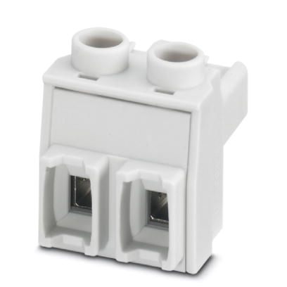 Вилочная часть-GMSTBT 2,5 HV/2-ST-7,25 GY7035