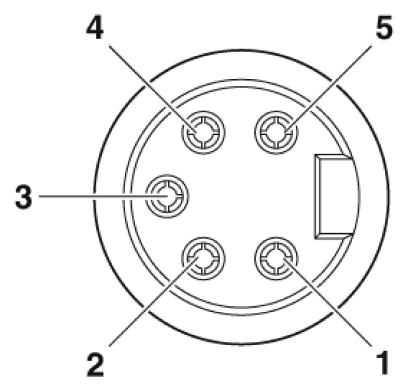 Силовой кабель-SAC-5P-MINMR/ 5,0-U20/MINFR