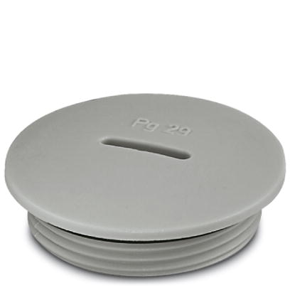 Резьбовой колпачок-A-INSP-PG29-65N-P-LG