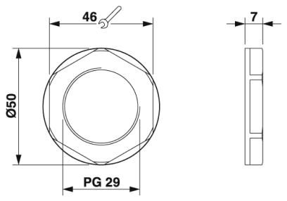 Контргайка-A-INL-PG29-P-GY