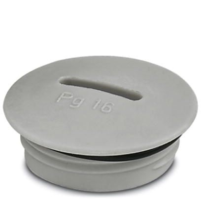 Резьбовой колпачок-A-INSP-PG21-65N-P-LG