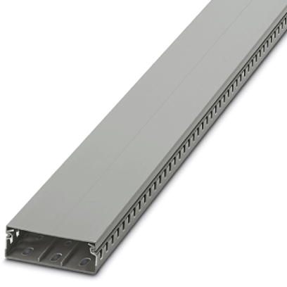 Кабельный канал-CD 25X80