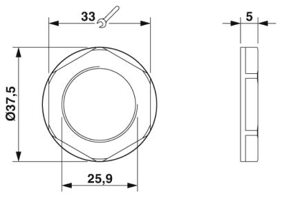 Контргайка-A-INL-NPT3/4-P-GY