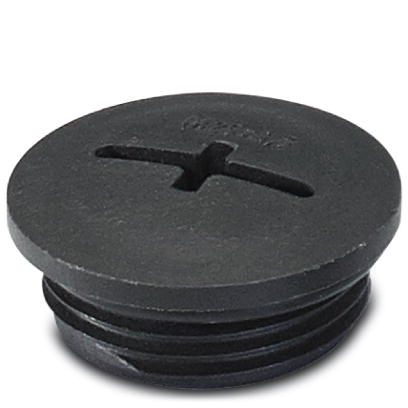 Резьбовой колпачок-A-INSP-M20-65N-P-BK