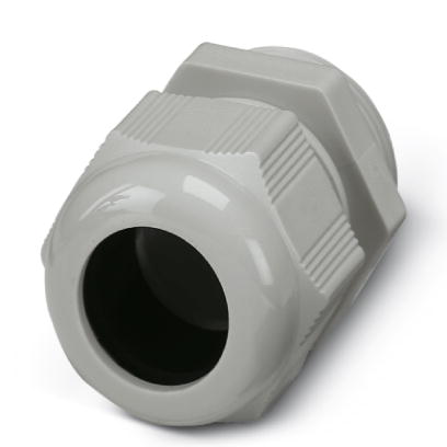 Кабельный ввод-G-INS-PG42-M68N-PNES-LG