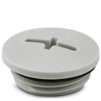 Резьбовой колпачок-A-INSP-M20-68N-P-LG