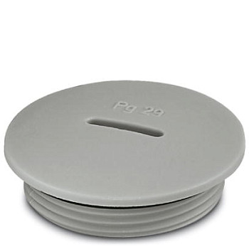 Резьбовой колпачок-A-INSP-PG29-65N-P-LG