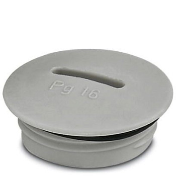 Резьбовой колпачок-A-INSP-PG21-65N-P-LG