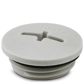 Резьбовой колпачок-A-INSP-M20-68N-P-LG